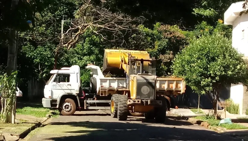 1,5 mil toneladas de galhos e troncos foram recolhidos em Maringá