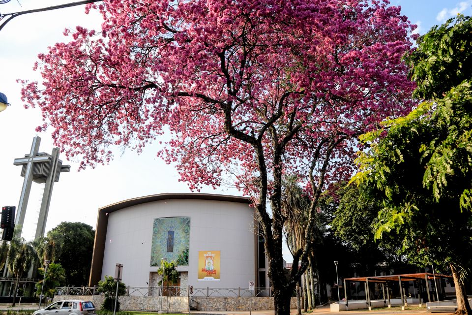 Prefeitura comemora 75 anos da Vila Operária com ′Moeda Verde′ e ′Cidadania nos Bairros′ no sábado, 27