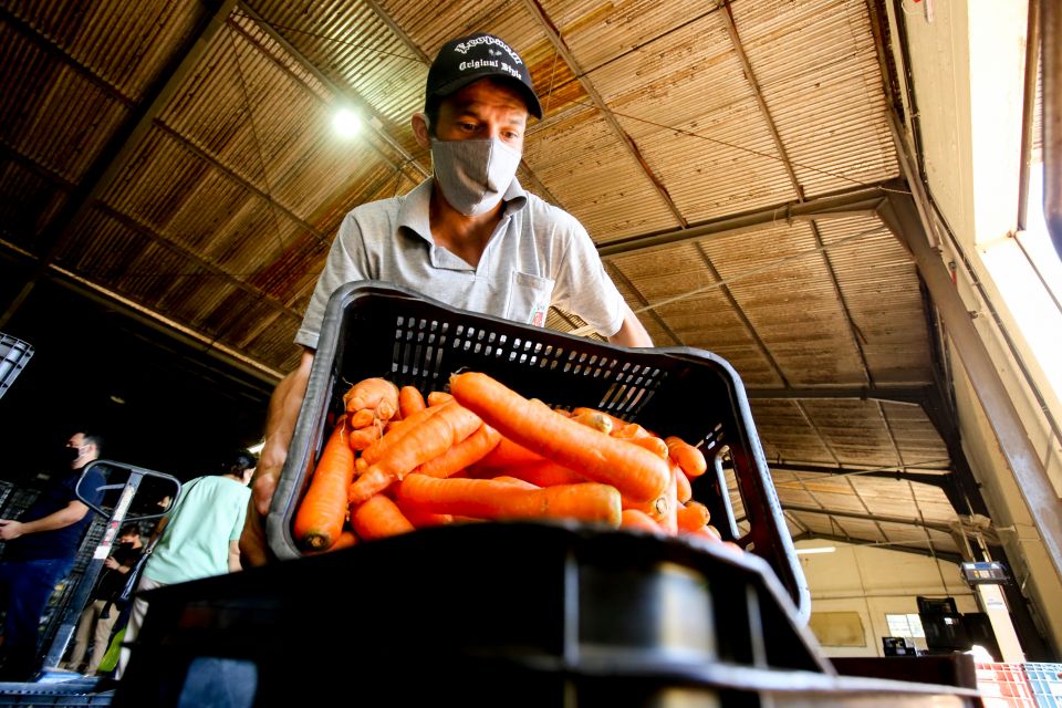 Prefeitura de Maringá abre inscrições para curso de manipulação de alimentos